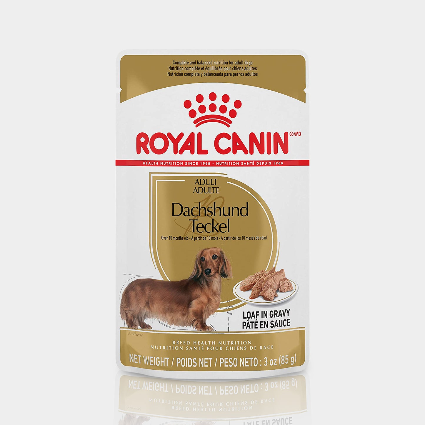 Royal Canin Pouchet Dachshund Alimento Para Perro