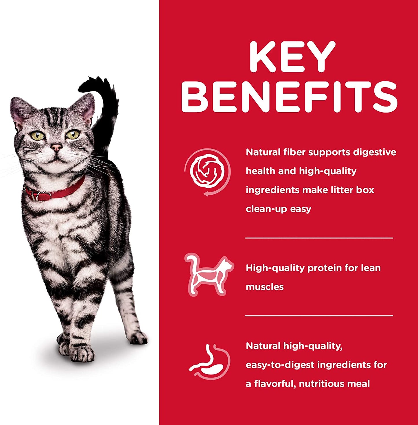 Hills Science Diet Feline Adulto Indoor Alimento Para gatos