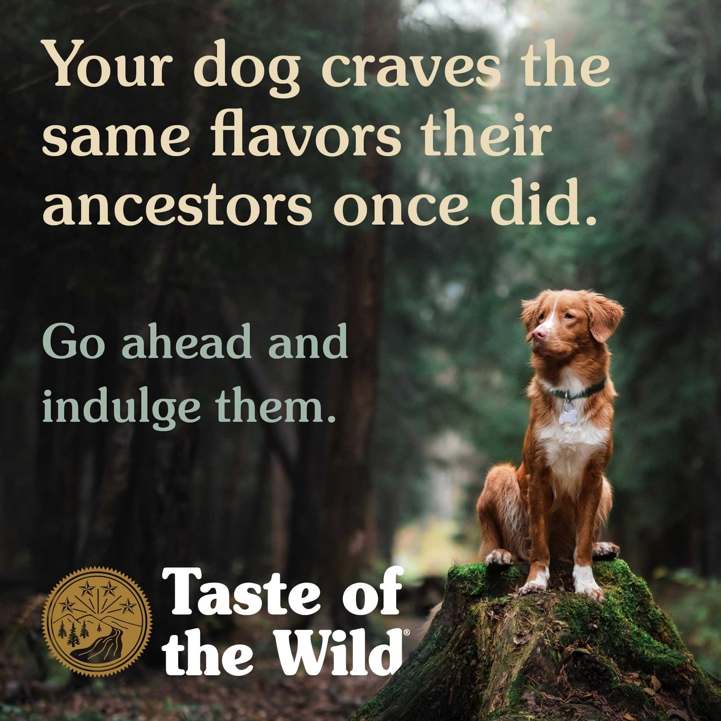 Taste Of The Wild Wetlands Canine With Wild Fowl Alimento Para Perro