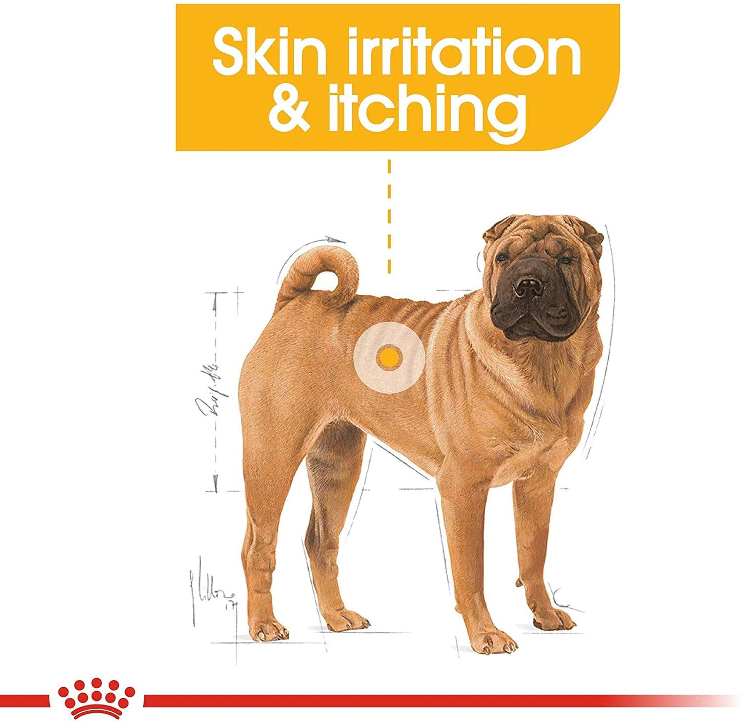 Royal Canin Medium Dermacomfort Alimento Para Perro
