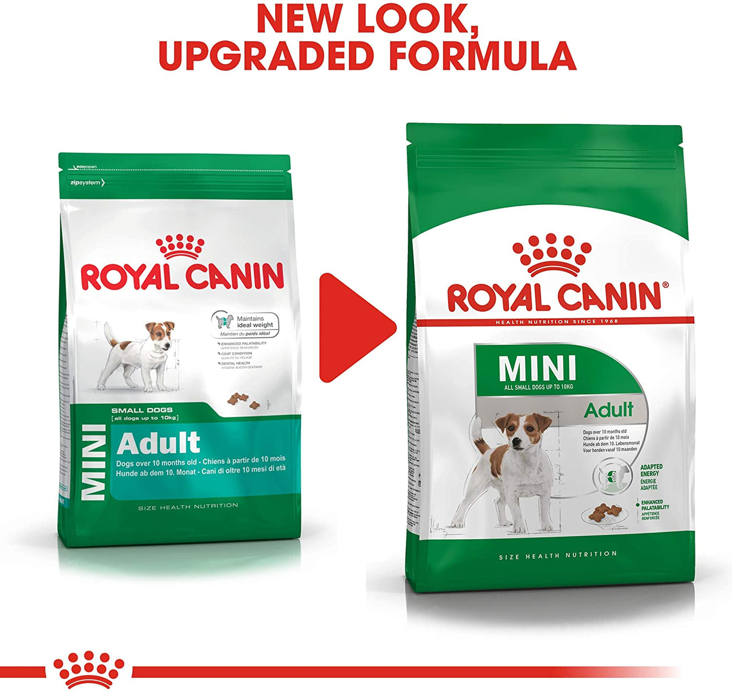 Royal Canin Mini Adulto Alimento Para Perro