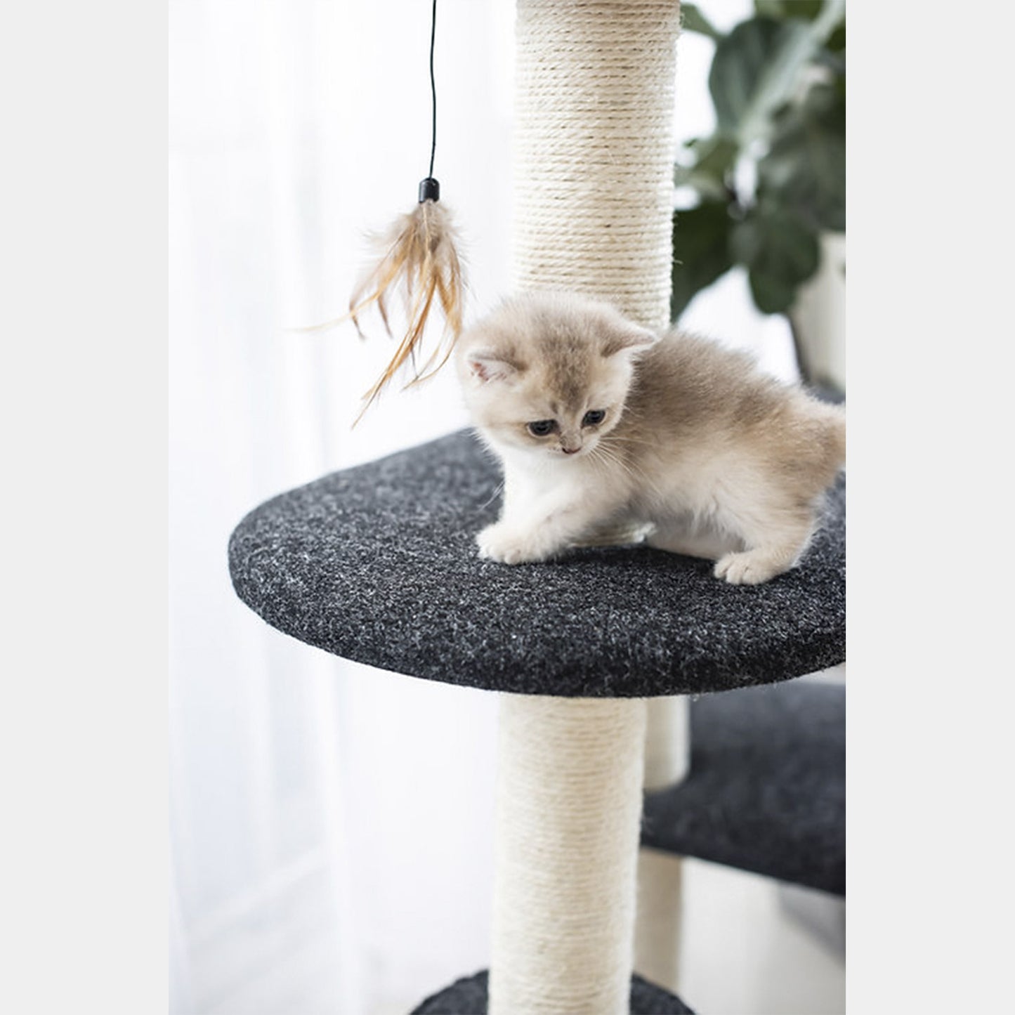 PetPals Árbol De Gato De 4 Niveles Estilo Ace