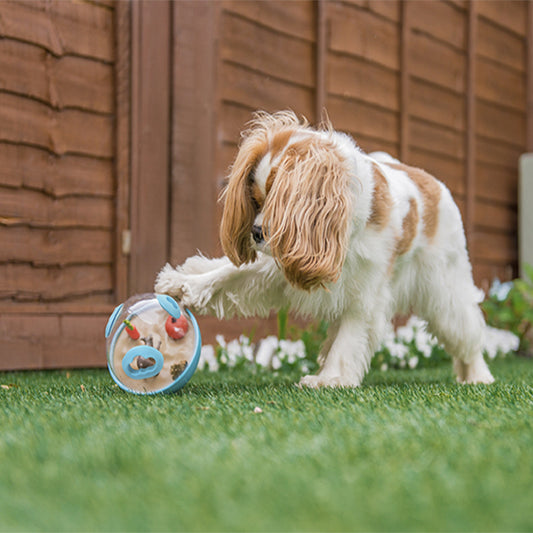 Pet Play Pelota De Juguete Para Perro