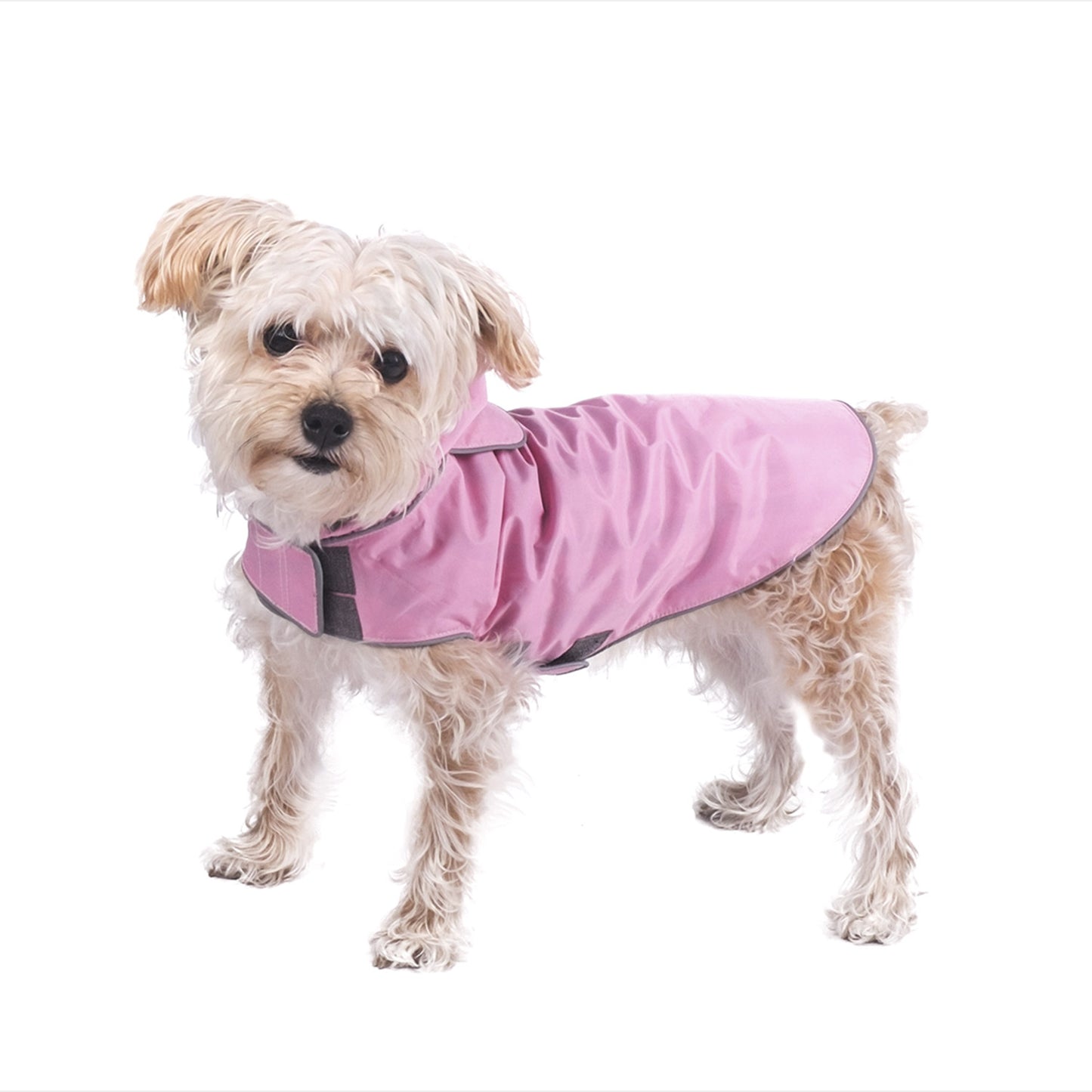The Worthy Dog Chaqueta Impermeable Seattle Para Perros