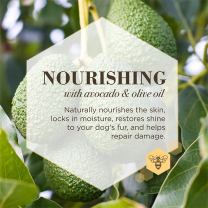 Burts Bees Acondicionador Care Plus Nutritivo en Spray Con Aguacate Y Aceite De Oliva Para Perro