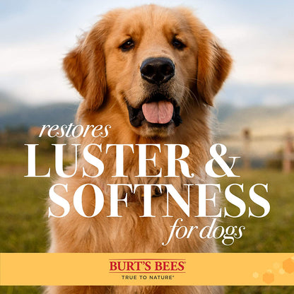 Burts Bees Cepillo Doble Cara Para Perro