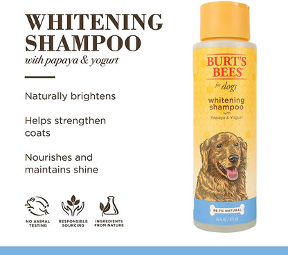 Burts Bees Shampoo Blanqueador Con Papaya Y Yogurt Para Perro