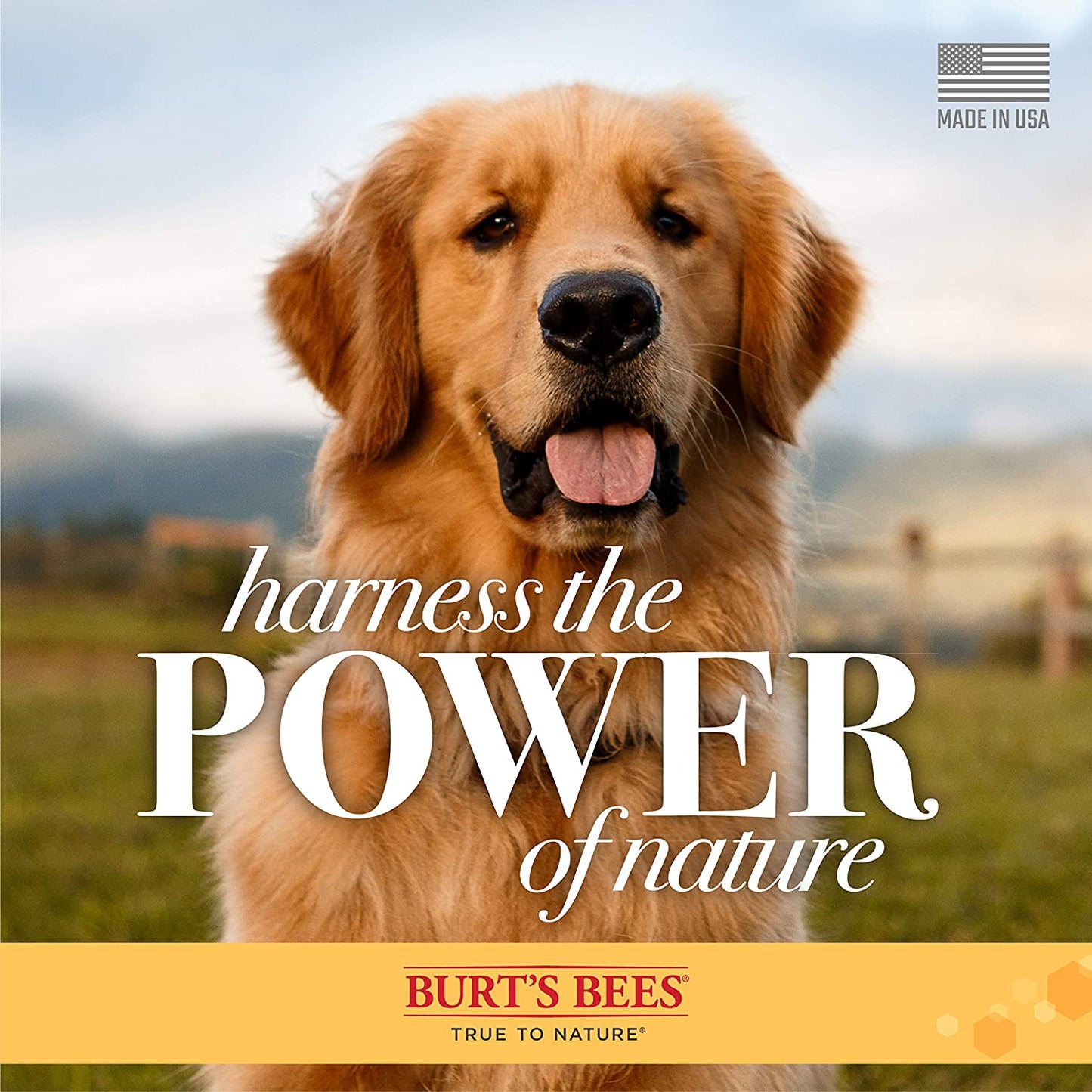 Burts Bees Shampoo Control De Caida Con Omega 3 y Vitamina E Para Perro