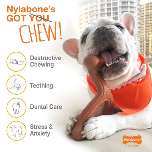 Nylabone Power Chew Juguete En Forma de Hueso Con Nudo Para Perro