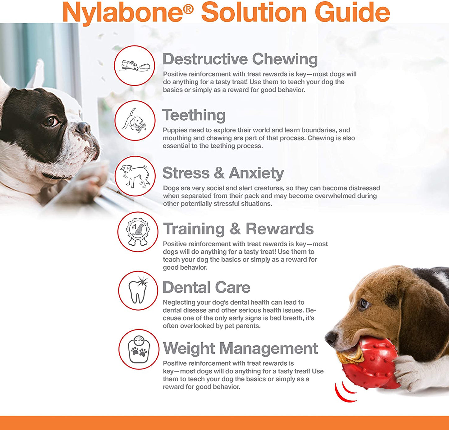 Nylabone Power Chew Juguete En Forma de Hueso Con Nudo Para Perro