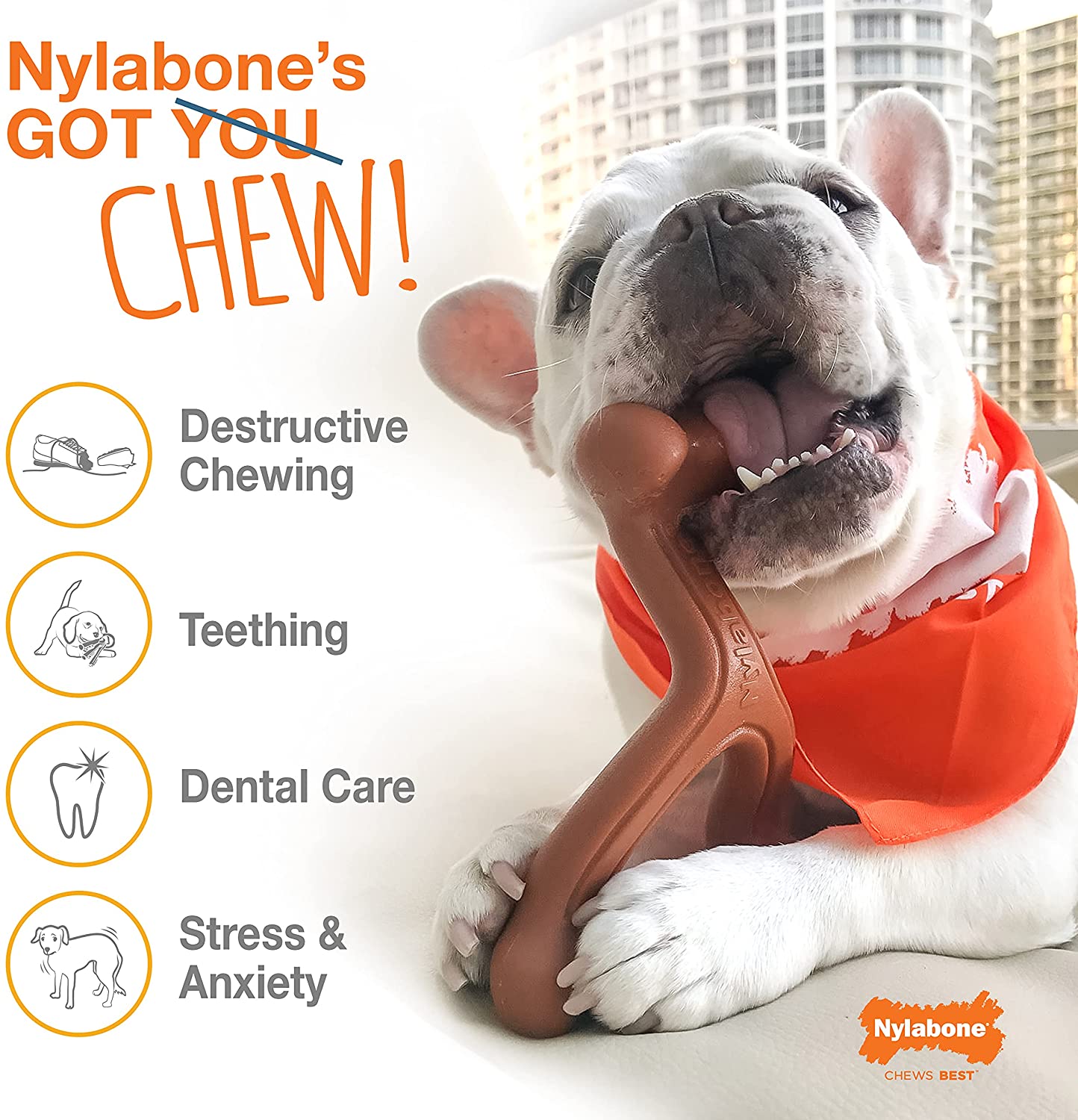 Nylabone Power Chew Juguete En Forma de Hueso Con Nudo Para Perro