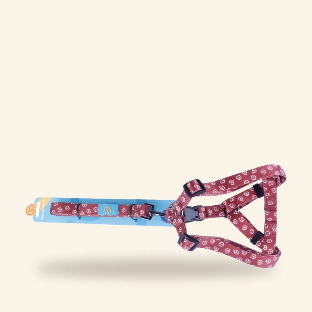 Arnés de nylon con correa – marrón, turquesa y naranja