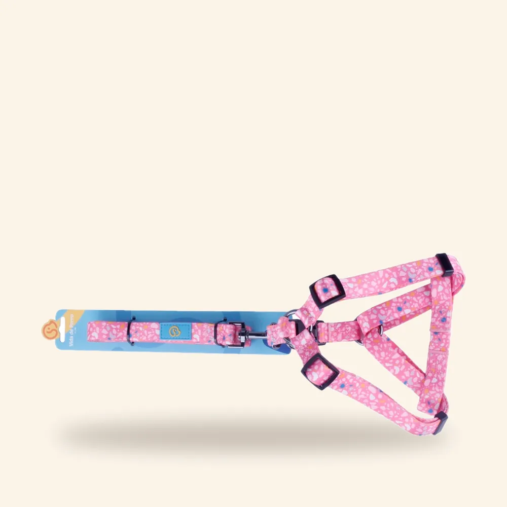 Arnés de nylon con correa – rosado y turquesa claro
