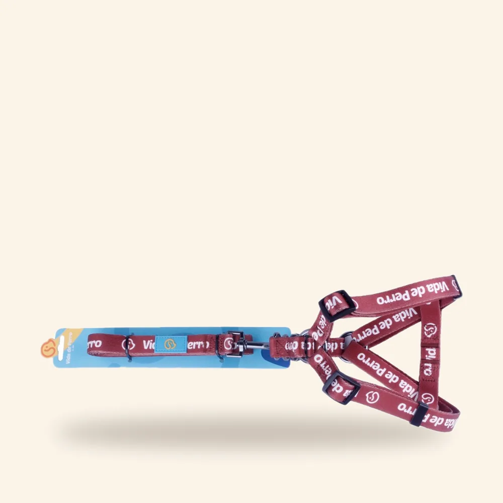 Arnés de nylon con correa – todos los colores en S, M y L