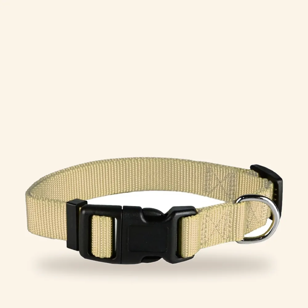 Collar básico de poliéster para perro