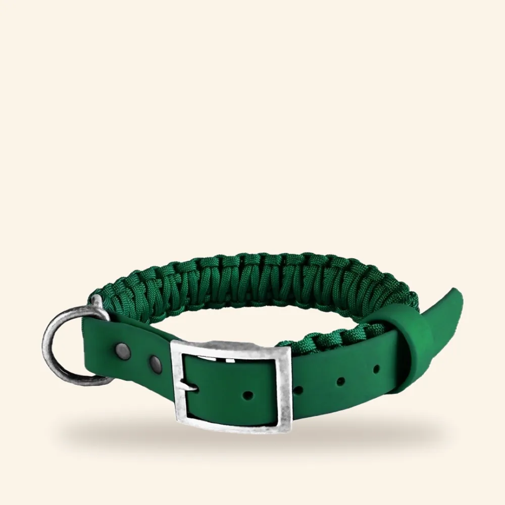 Collar acolchado de poliéster para perro, tallas S, M y L