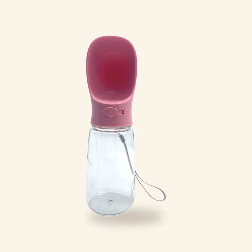 Botella de agua portátil con filtro 550 ml