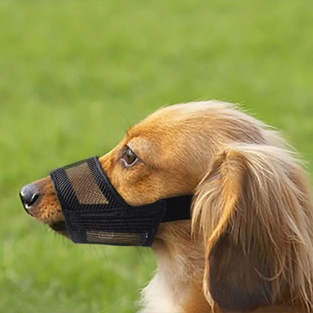 Bozal ajustable para perro