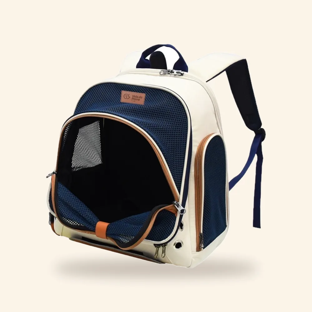 Mochila transportadora moderna 34 x 22 x 42 cm