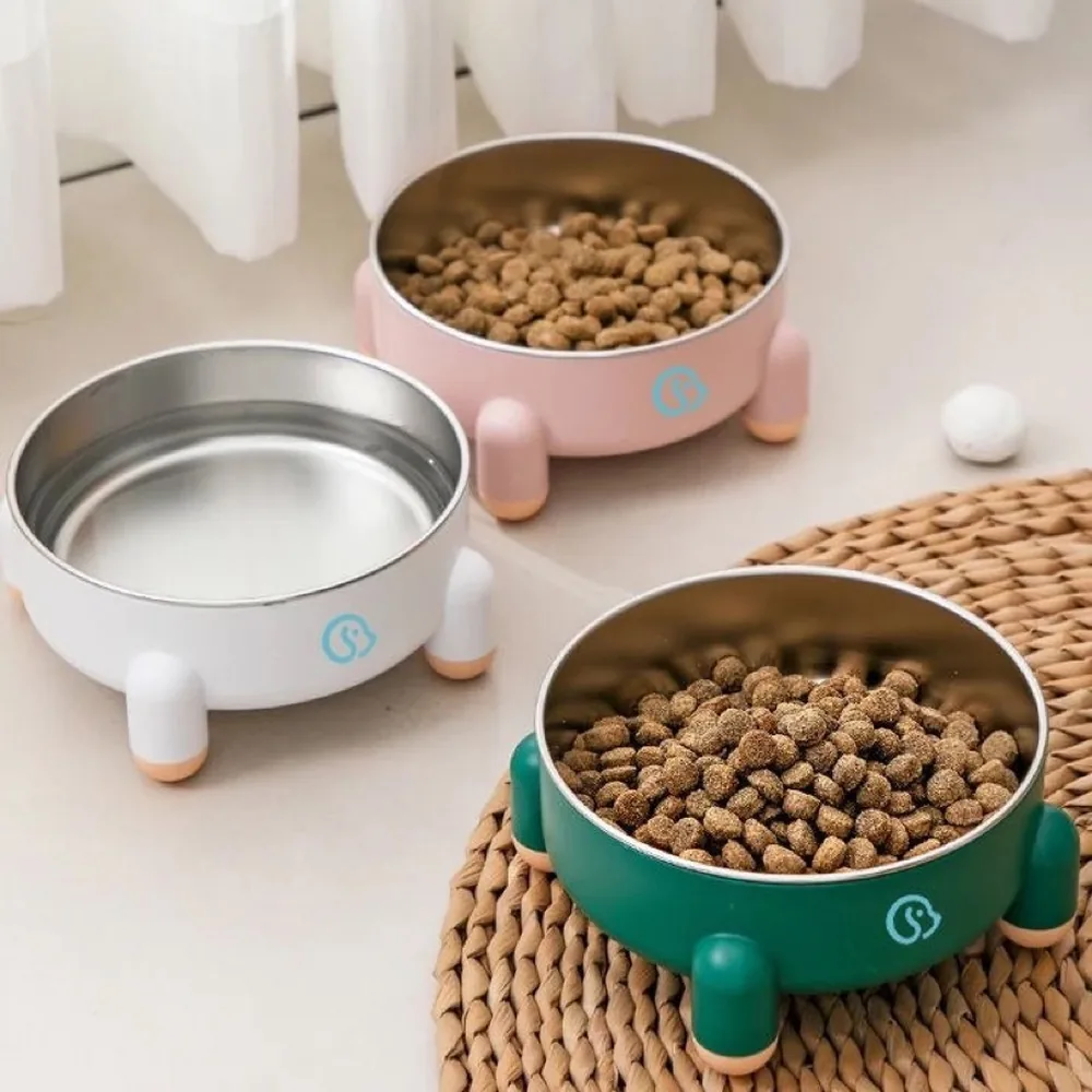 Tazón grande para perro y gato