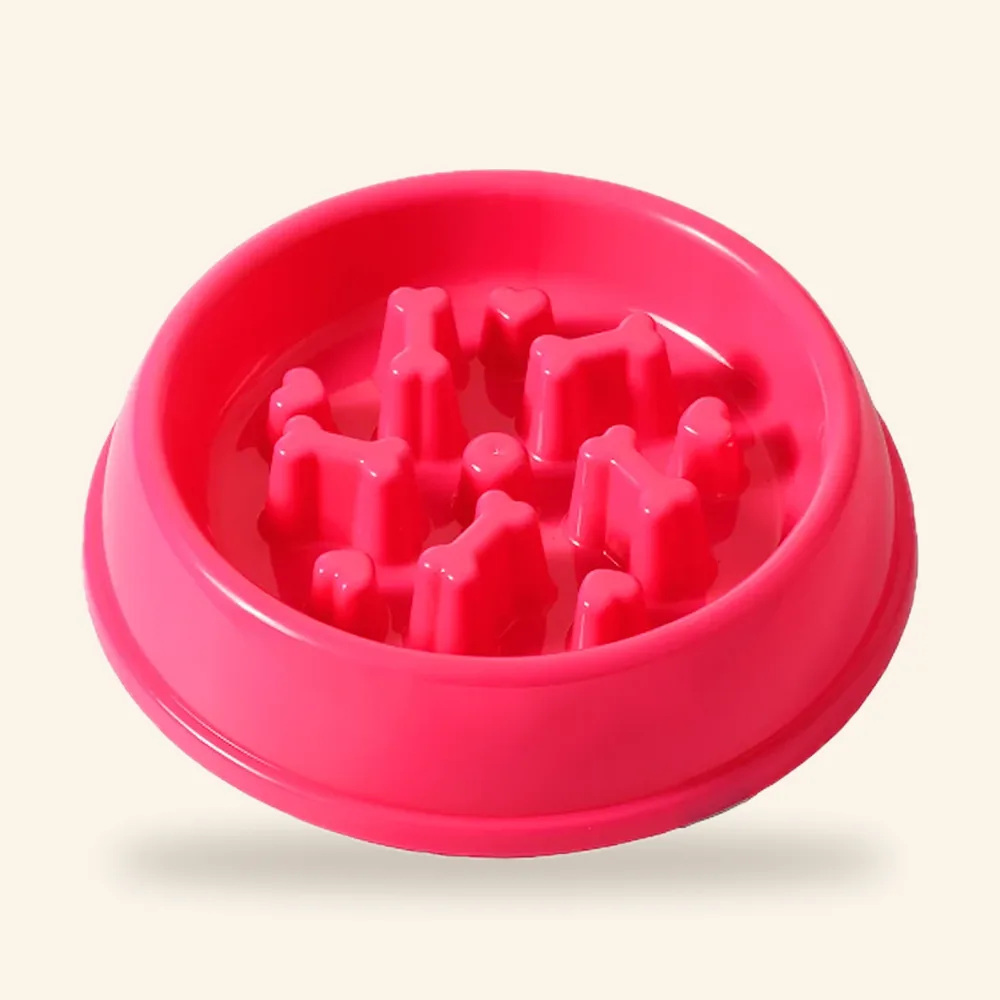 Plato alimentador lento para perro